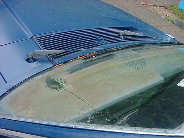 V6stang&amp;apos;s V6stang: Cracked and Faded Dash