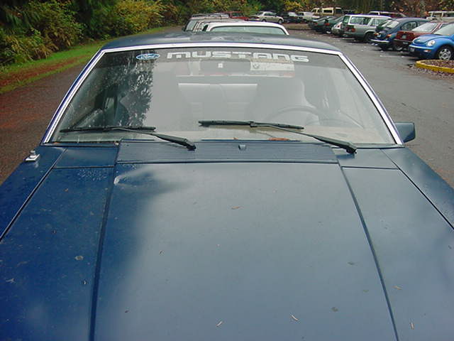 V6stang&amp;apos;s V6stang: Hood View
