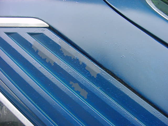 V6stang&apos;s V6stang: Peeling Paint 1