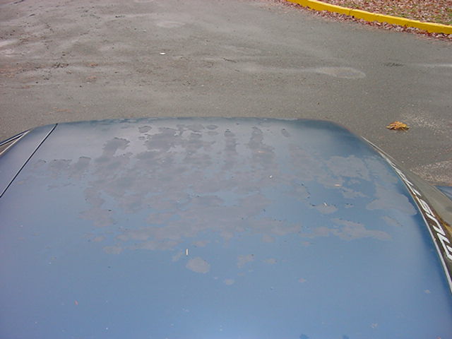 V6stang&apos;s V6stang: Peeling Paint 3