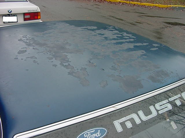 V6stang&apos;s V6stang: Peeling Paint 4